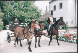 Auf dem Weg zum Standesamt